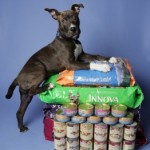 Pet Food Bank