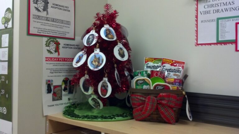A small red Christmas tree decorated with pet photos sits on a table next to a plaid basket filled with pet treats. Posters about a holiday pet food drive are displayed on the wall behind.