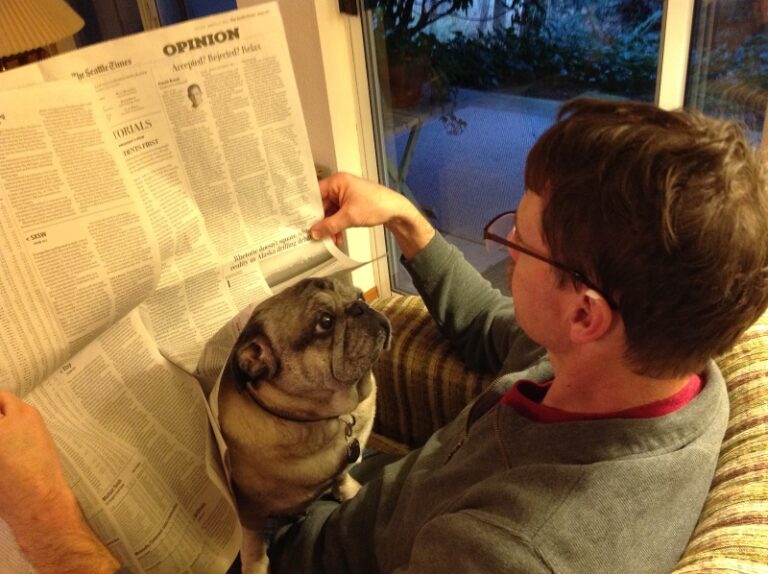 A man wearing glasses reads a newspaper while sitting in a chair. A pug sits on his lap, poking its head through the newspaper, looking toward the camera.