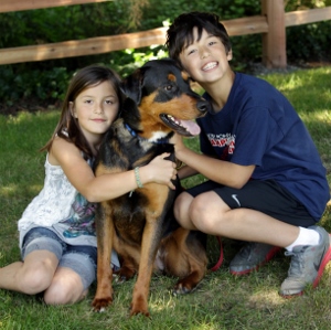 Two children, a girl and a boy, sit on grass and smile while hugging a large black and brown dog. A wooden fence and greenery are in the background.