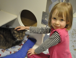 A young girl in a pink outfit gently pets a tabby cat resting on a blanket in a cozy indoor setting. The girl is smiling and looking at the camera.