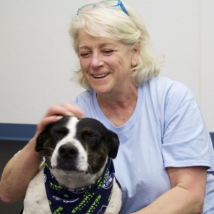A smiling older woman with gray hair, wearing a light blue shirt and blue glasses on her head, pets a black and white dog wearing a blue and green bandana. The dog looks content with its eyes closed.