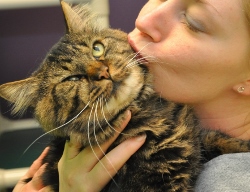 A woman lovingly kisses a fluffy brown tabby cat on the cheek. The cat appears slightly squished and surprised, with wide eyes and its face pressed against the womans cheek.