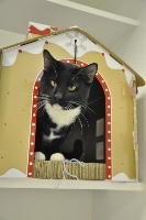A black and white cat sits inside a gingerbread house-shaped cardboard box, peering out from the arched doorway with a relaxed expression.