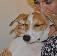 A woman gently hugs and kisses a relaxed, tan and white dog with its eyes closed, showing affection and comfort.