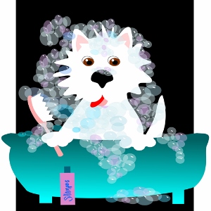 A cartoon white dog sits in a teal bathtub filled with bubbles, holding a brush in one paw. A bottle labeled shampoo is next to the tub, and the dogs tongue is sticking out playfully.