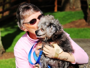 An older woman wearing sunglasses and a pink top hugs a small, curly-haired dog with a blue leash while sitting outside on a sunny day.