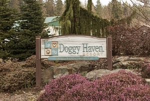 A wooden sign reads Doggy Haven Resort with icons of a bone, paw print, and dog. The sign is surrounded by rocks, shrubs, and trees in an outdoor setting.