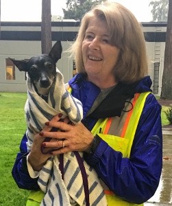 A smiling woman in a reflective safety vest holds a small black-and-white dog wrapped in a towel outdoors on a rainy day. Trees and a building are visible in the background.
