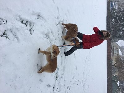 A person in a red coat kneels on snow while holding leashes of two dogs. The dogs stand nearby in the snow, and houses and trees are visible in the background.