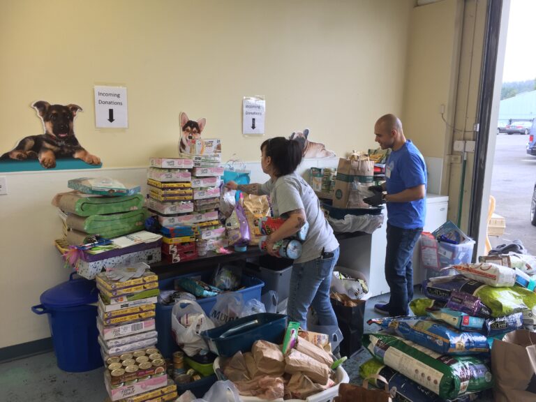 Two people sort through stacks of donated pet food, supplies, and bags in a room with dog posters on the wall. Signs above tables read Incoming Donations and Outgoing Donations.