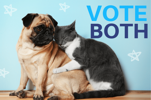 vote both dogs and cats