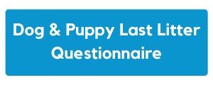 dog and puppy questionnaire link button