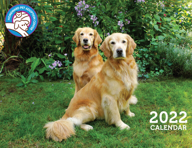 Two golden retrievers sit on grass in a garden with purple flowers. The Homeward Pet Adoption Center logo is in the top left corner, and 2022 Calendar text appears in the bottom right.