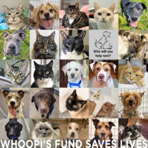 photos of smiling animal faces with the text: Whoopi's Fund Saves Lives
