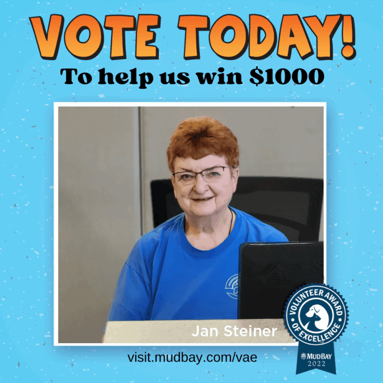 A smiling older woman with short red hair and glasses sits at a desk wearing a blue shirt. The text says Vote today! To help us win $1000 and Jan Steiner, Volunteer Award of Excellence.