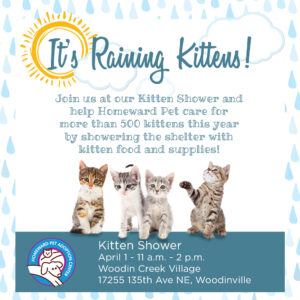 Four kittens in illustrated rain. Information about kitten shower.It's raining kittens.