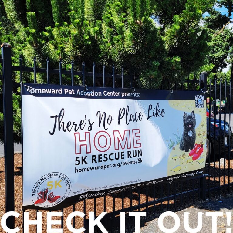 Banner on a black fence advertises Theres No Place Like Home 5K Rescue Run by Homeward Pet Adoption Center, featuring a dog, running shoes, and event details. Large text at bottom says, CHECK IT OUT!.
