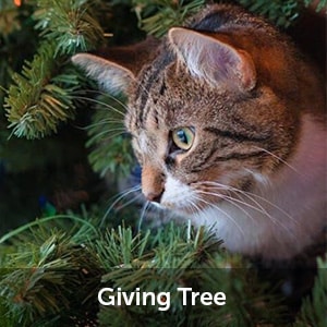 Tabby cat in a tree. Text: Giving Tree