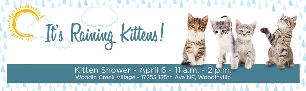 Four kittens and text: It's raining kittens! Kitten Shower April 1 - 11 a.m. - 2 p.m. - Woodin Creek Village - 17255 135th Ave NE, Woodinville, WA 98072