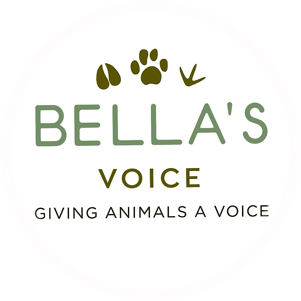 Bellas Voice - Tin Man Sponsor - $500