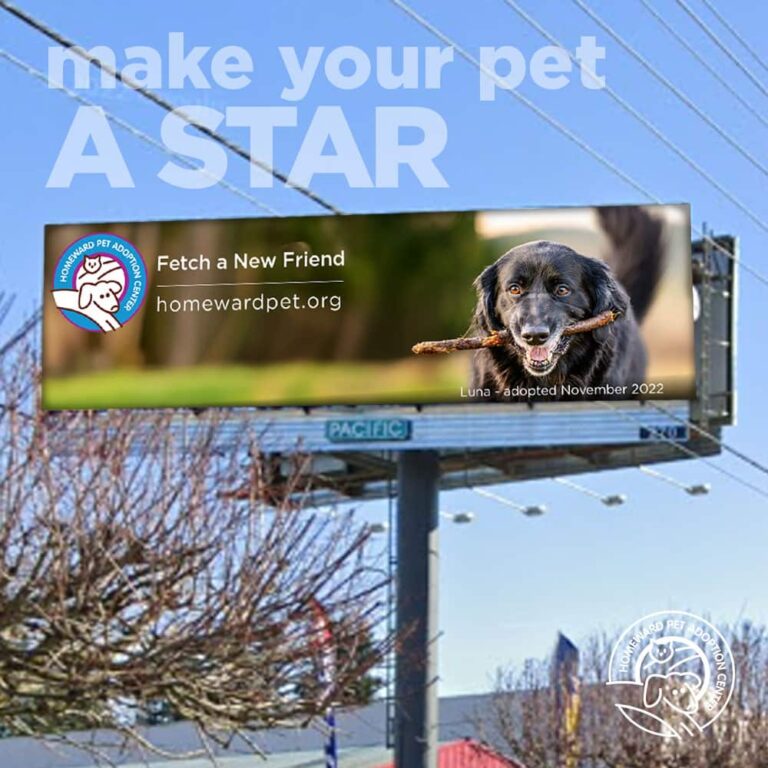 A billboard features a happy black dog holding a stick, promoting pet adoption with the text “make your pet a star.” It includes the Homeward Pet Adoption logo, website, and a note that Luna was adopted in November 2022.
