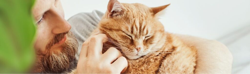 A bearded man gently cuddles and pets a relaxed orange tabby cat, which has its eyes closed and looks content.