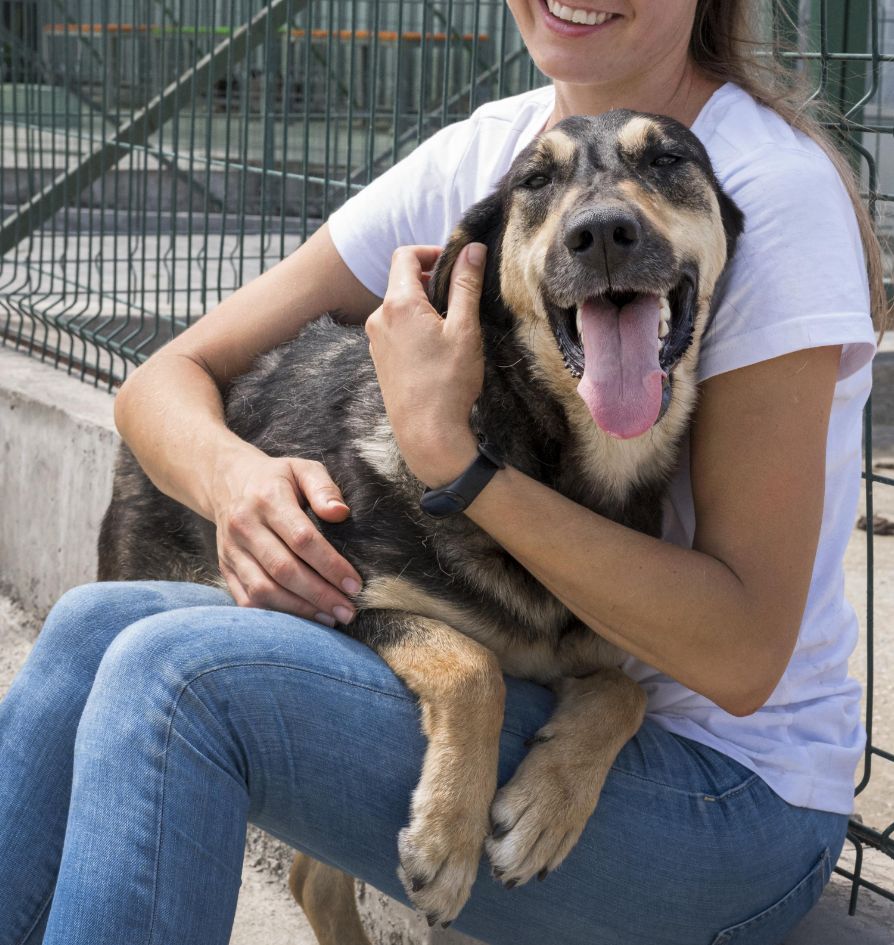 A smiling woman in a white t-shirt and jeans hugs a happy, large black and tan dog sitting on her lap. The dog has its mouth open and tongue out. They are sitting outdoors by a metal fence.