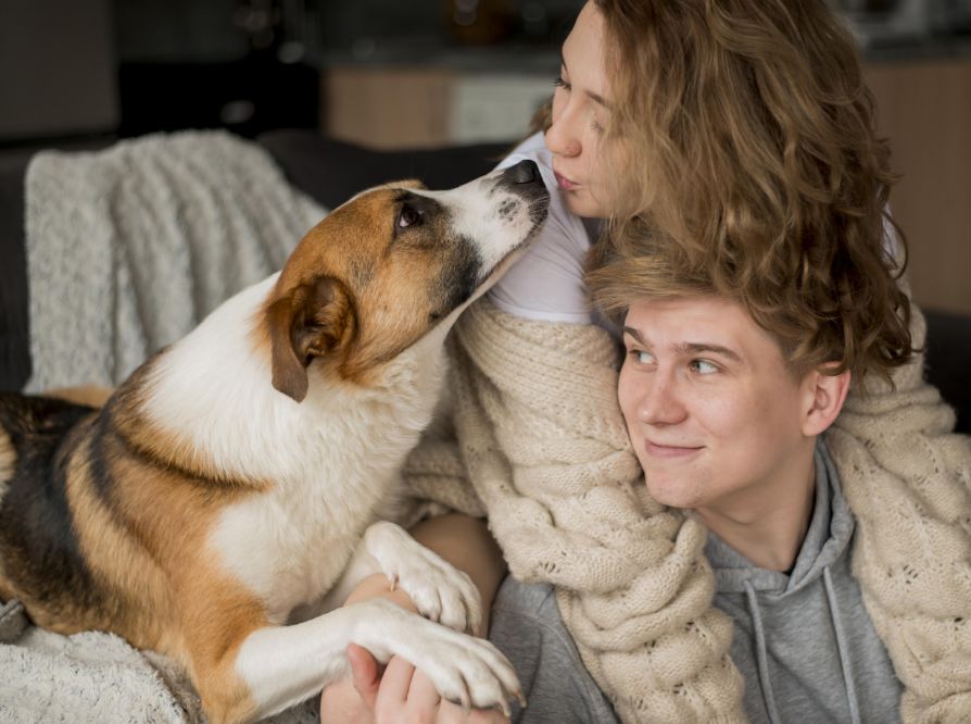 A young couple sits closely together on a couch, wrapped in a cozy blanket. A brown and white dog reaches up to nuzzle the woman’s face, while the man smiles, watching the interaction warmly.