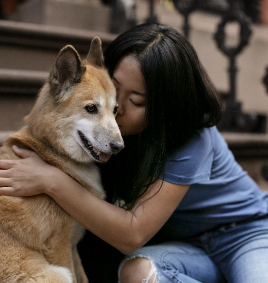 A young woman with long dark hair hugs and kisses a tan and white dog while sitting on outdoor stairs. The dog looks content, and the woman is wearing a blue shirt and ripped jeans.