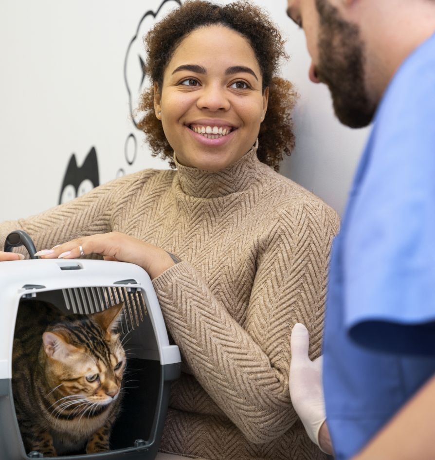 A woman smiles at a veterinarian while holding a pet carrier with a Bengal cat inside. The vet, wearing blue scrubs and gloves, kneels nearby. Cat illustrations decorate the wall behind them.