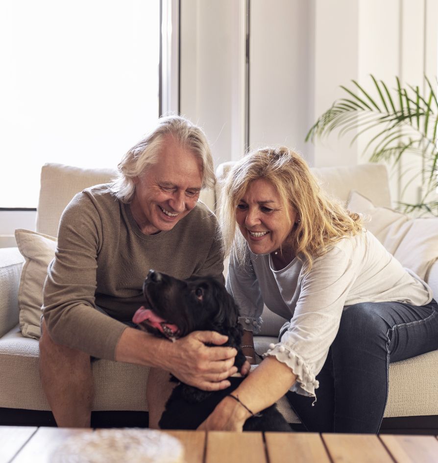 An older man and woman sit on a sofa, smiling and petting a happy black dog. Sunlight filters through a window behind them, and a green plant is visible in the background.