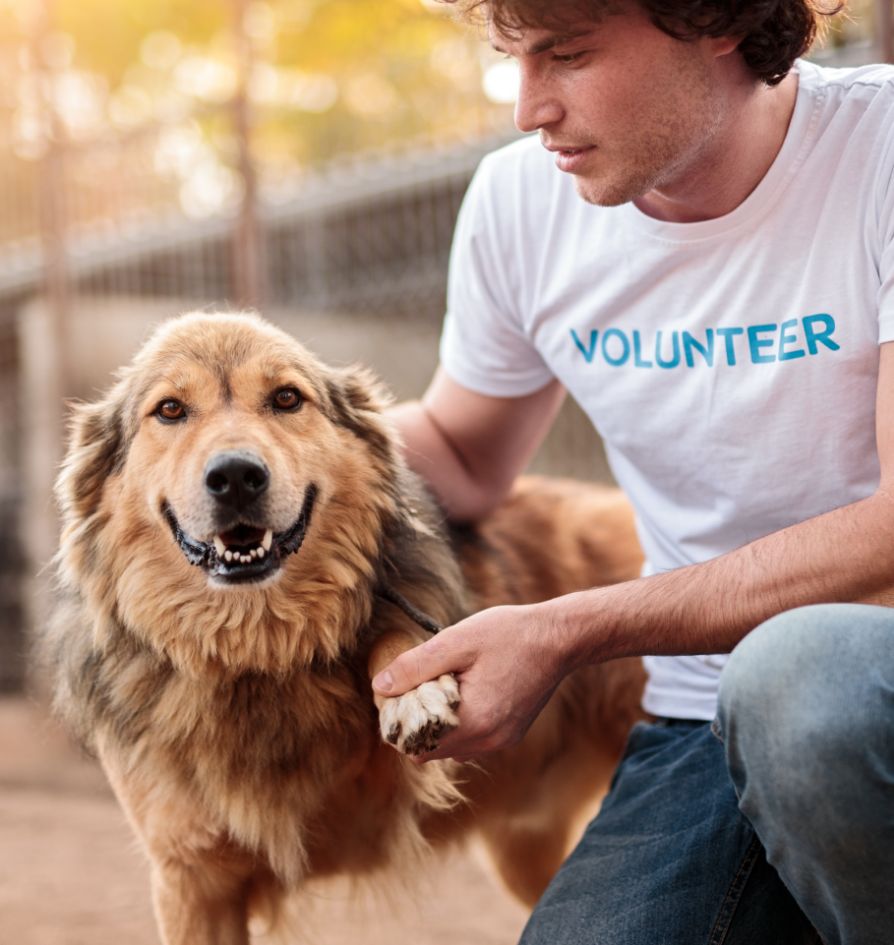 A man wearing a VOLUNTEER shirt kneels beside a happy, fluffy brown dog, gently holding the dogs paw outdoors, with a fence and trees in the background.