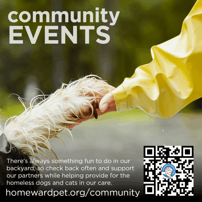 A person in a yellow raincoat shakes a dog’s paw outdoors. The text reads “community EVENTS” and provides a website link for community pet events. A QR code and a brief description are also included.