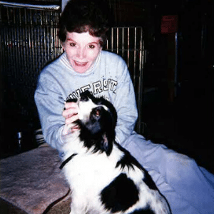 A smiling person in a sweatshirt pets a black and white dog indoors, with a metal gate visible in the background.