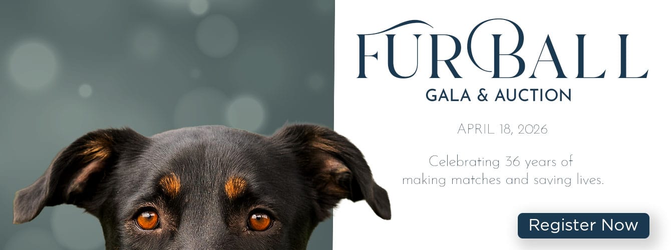 Fur Ball Gala and Auction, April 18, 2026