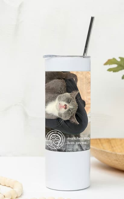 Water Bottle