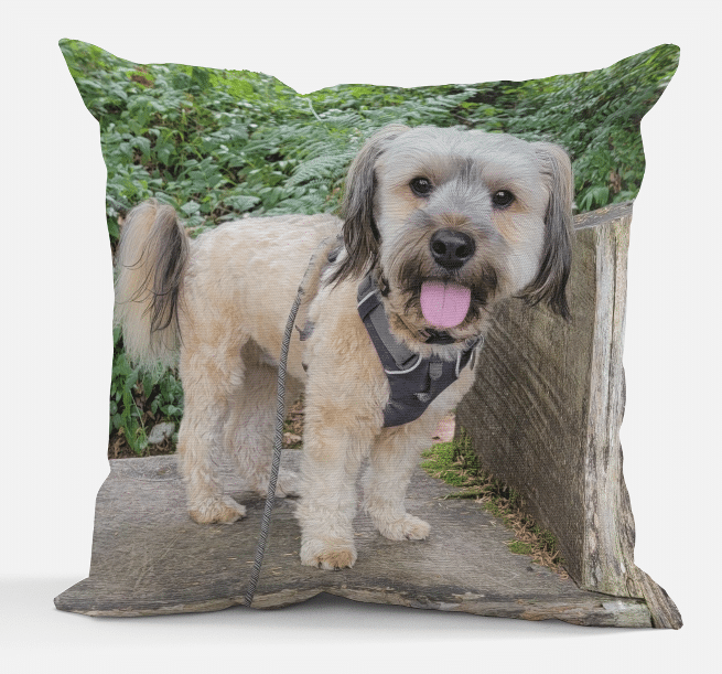 Custom Pillow