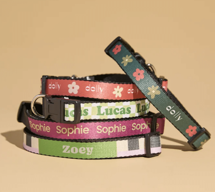 Dog Collar