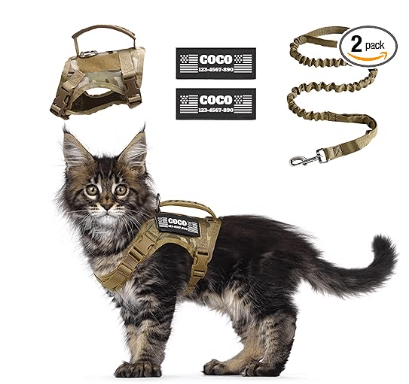 Cat Harness