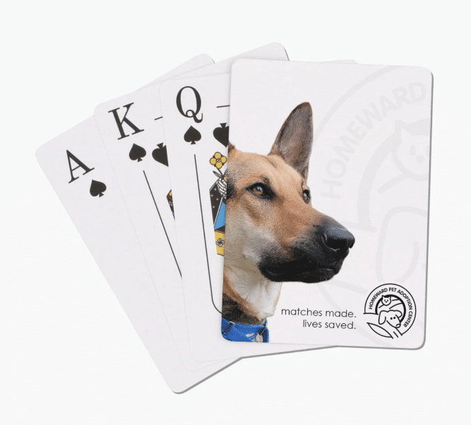 Playing Cards