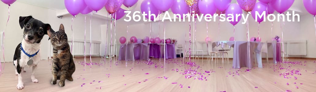 Let's Celebrate 36 years of matching pets to their forever homes